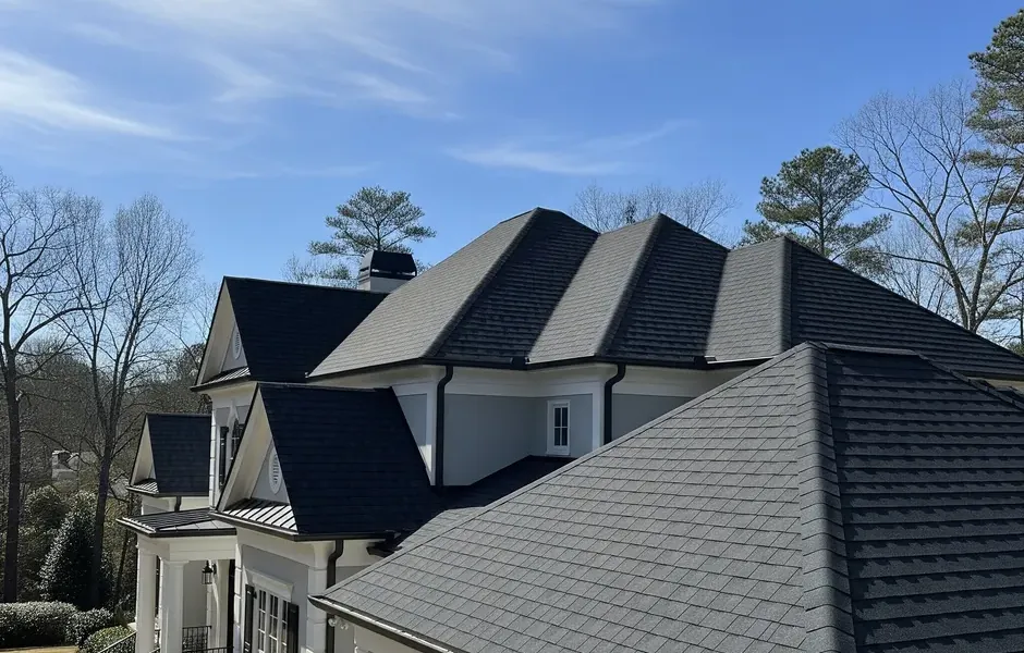 Green Roofs in Suwanee, GA: Transforming Our City's Skyline